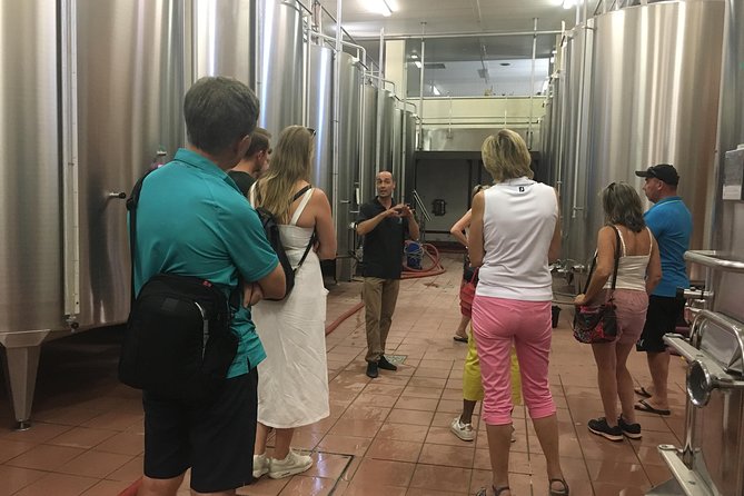 Private Half-Day Languedoc Wine Tour from Sète - Ease and Convenience with Pickup and Drop-off
