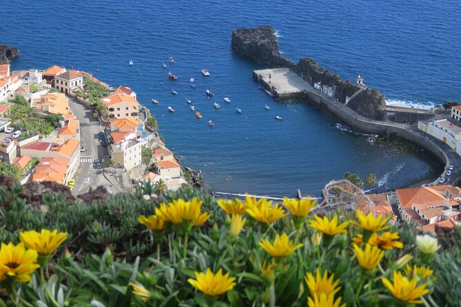 Private Half-Day Morning 4x4 Tour from Funchal - Discovering Madeira’s Coastal Cliffs and Viewpoints