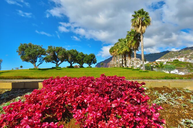 Private Half-Day Morning 4x4 Tour from Funchal - Overlooking Curral das Freiras and Eira do Serrado