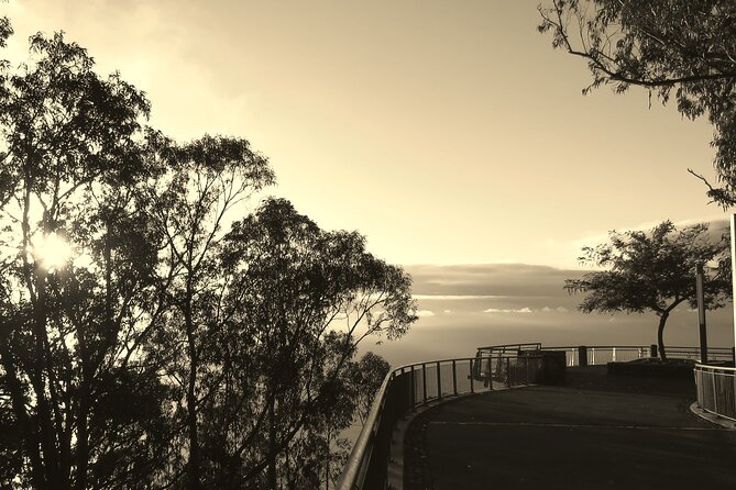 Private Half-Day Morning 4x4 Tour from Funchal - Exploring Camara de Lobos