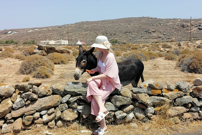 Private Half-Day Mykonos Insider Tour with Pick Up - Capturing Mykonos Town’s Iconic Panorama