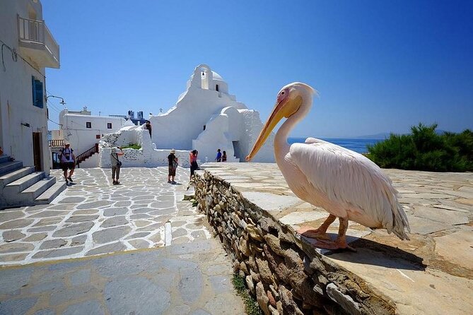 Private Half-Day Mykonos Insider Tour with Pick Up - Experiences and Guides: Personalized and Personable