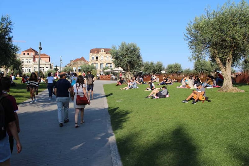 Private Half-Day Porto Tour By Car - Explore Porto in Comfort on a Private Half-Day Tour with Wine Tasting