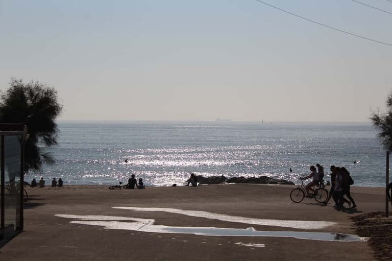 Private Half-Day Porto Tour By Car - Crossing the Douro to Vila Nova de Gaia for the Wine Tasting