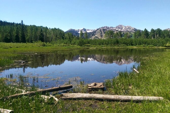 Private Half-Day Scenic Drive Through Salt Lake's Best Canyons - Pacing, Timing, and Weather Considerations