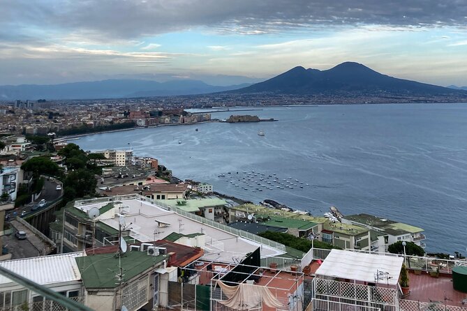 Private Half-Day Sightseeing Tour of Vesuvius National Park - The Guide’s Role in the Experience
