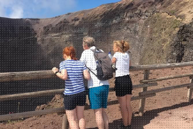 Private Half-Day Sightseeing Tour of Vesuvius National Park - Suitable for Different Types of Travelers