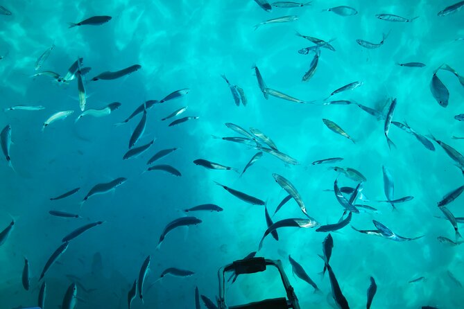 Private Half Day Speedboat tour to Kornati National Park - Discover the Private Half-Day Speedboat Tour to Kornati National Park