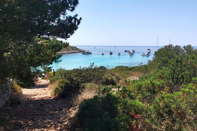 Private Half Day Speedboat tour to Kornati National Park - Stops for Swimming and Snorkeling at Lojena Bay