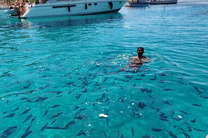 Private Half Day Speedboat tour to Kornati National Park - Practical Details and Additional Costs