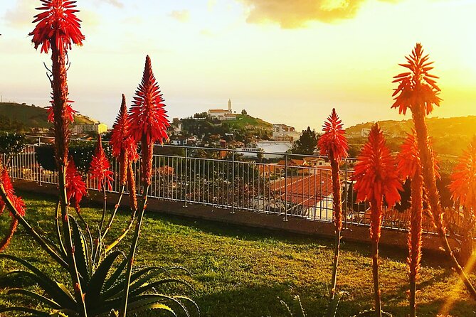 Private Half day tour around Madeira Island - Panoramic Views from Pico dos Barcelos