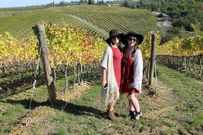 PRIVATE Half-Day Tour: Chianti Classico Wine Experience. - Exploring the Scenic Routes of Chianti