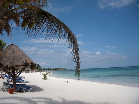 Private Half Day Tour in Cenote Cave and Swimming with Turtles - Discover the Best of Playa del Carmen with a Private Cenote and Turtle Swim Tour