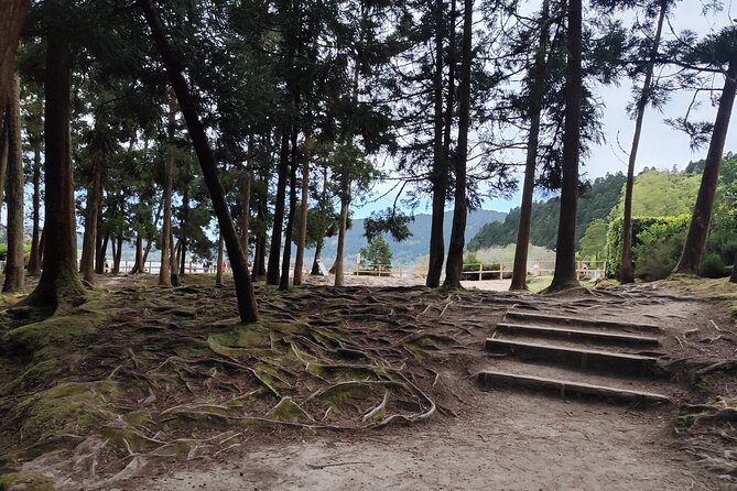 Private Half-Day Tour in Furnas São Miguel Island - Practical Details and Booking Info