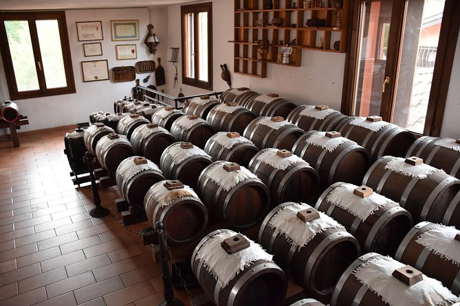 Private half day tour in Parma - Who Will Appreciate This Parma Food Tour?