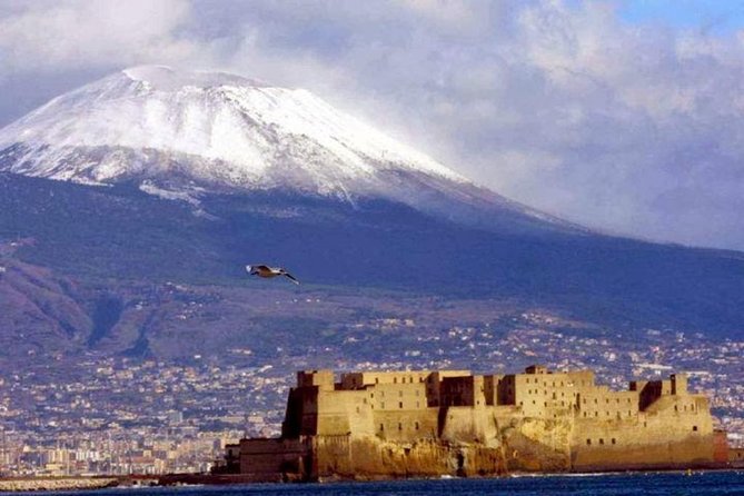Private Half-Day Tour of Mt. Vesuvius - Key Points