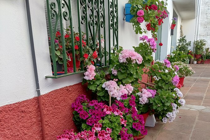 Private half-day tour of Ronda and the White Villages with native - The Plaza de Toros de Ronda: Spain’s Oldest Bullring