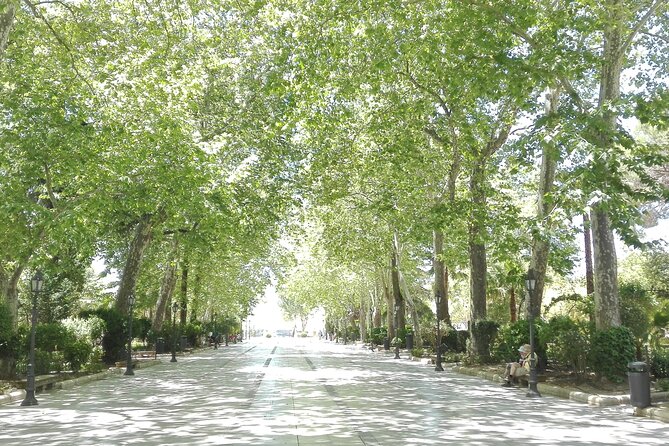 Private half-day tour of Ronda and the White Villages with native - Logistics and Practical Details for a Smooth Tour