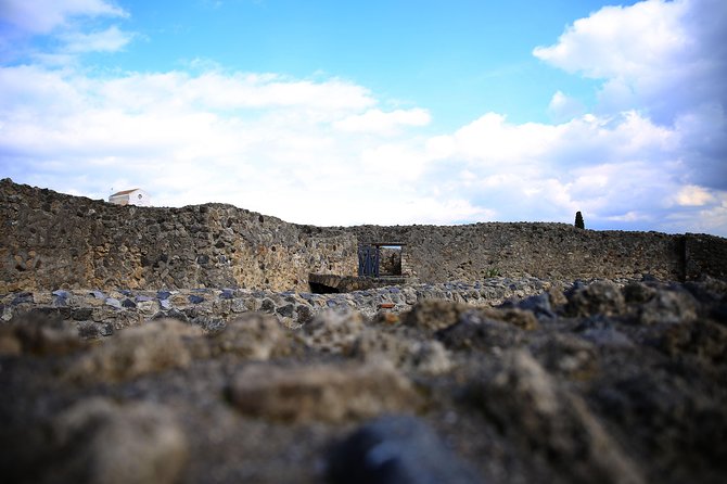 Private Half-Day Tour of The Pompeii Ruins Highlights and Mann - Discovering the Pompeii Forum and Its Monuments