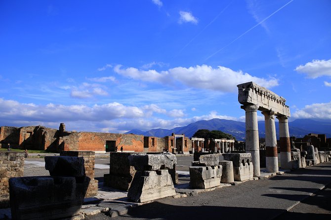 Private Half-Day Tour of The Pompeii Ruins Highlights and Mann - Optional Visit to the Lupanar: Pompeii’s Brothel