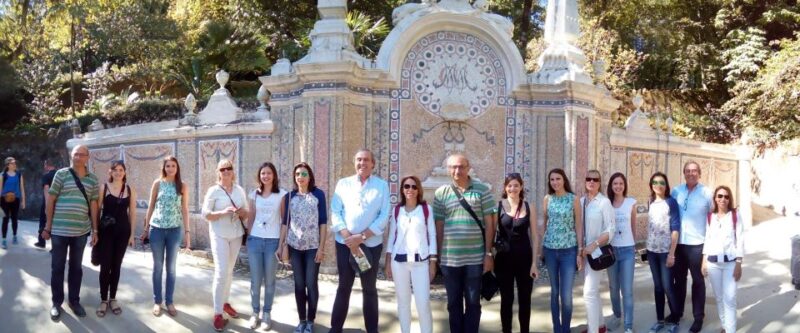 Private Half Day tour Sintra Pena Palace & Initiantion Well - Discovering Quinta da Regaleira and Its Enigmas