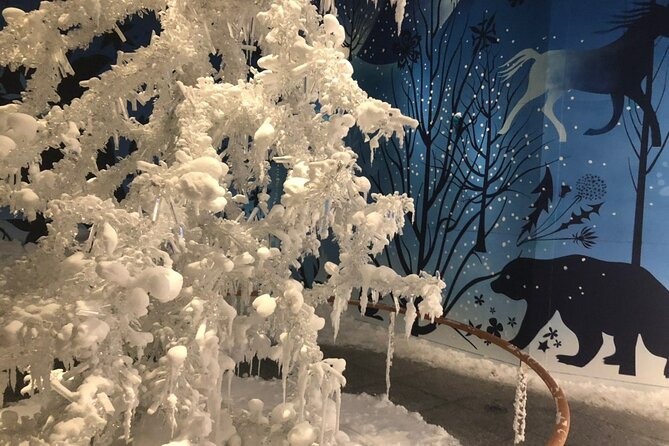 Private Half-day Tour to Swarovski Crystal World in Wattens - Flexibility and Pacing