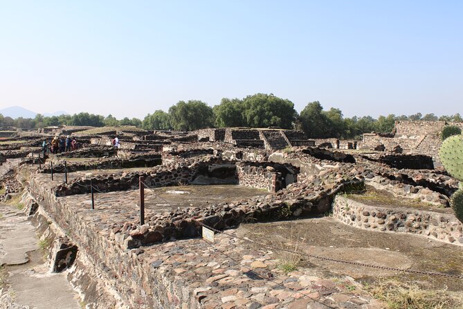 Private Half Day Tour to Teotihuacan from Mexico City - Tasting Traditional Mexican Beverages: Tequila, Mezcal, and Pulque