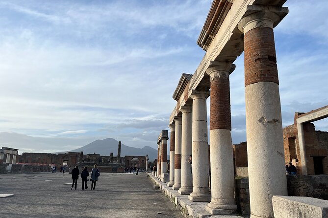 Private Half Day Tour to the Ruins of Pompeii - Pickup and Drop-Off: Tailored to Your Location