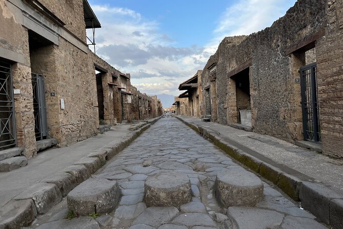 Private Half Day Tour to the Ruins of Pompeii - Optional Guided Tour and Food Stops