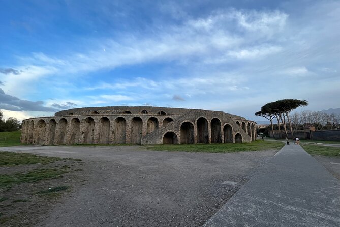 Private Half Day Tour to the Ruins of Pompeii - The Comfort of Private Transportation