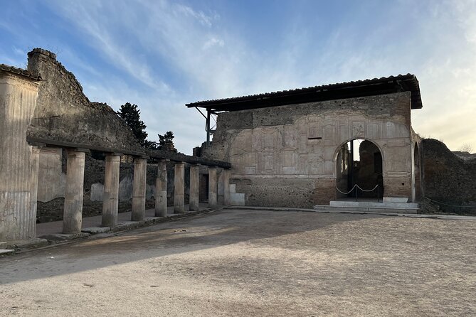 Private Half Day Tour to the Ruins of Pompeii - Pricing and Booking Tips