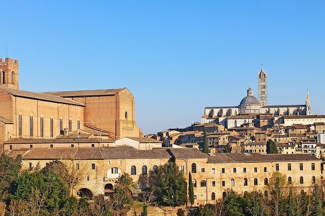 Private Half Day Tour: Visit Siena & Chianti Classic tour with Wine Experience - Logistics and Meeting Details