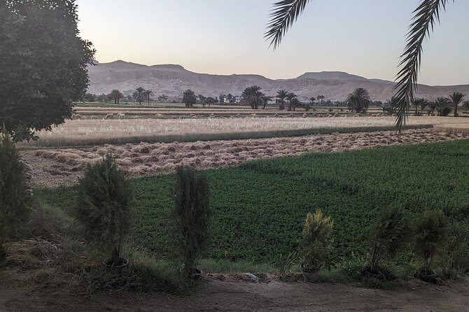 Private Half Day Tour West Bank of the Nile Luxor Egypt - Booking and Cancellation Policies