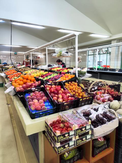 Private Half-Day TukTuk Tour All around Vila do Conde - The Experience of a Private Tuk Tuk Tour