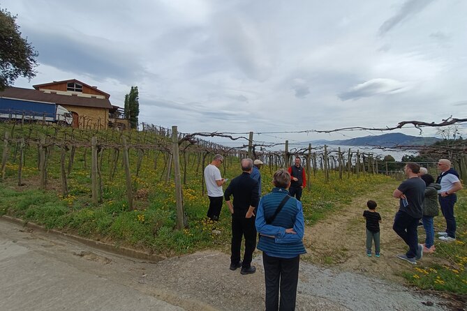 Private Half Day Txakoli Wine Tour & Getaria Fishing Village - The Charm of Getarias Coastal and Historic Atmosphere