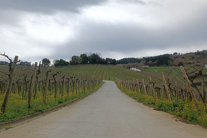 Private Half Day Txakoli Wine Tour & Getaria Fishing Village - The Sum Up: A Delightful Half-Day in the Basque Coast