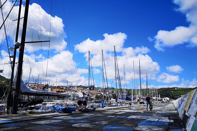 Private Half-Day Walking Tour of Horta Experience - Starting at the Horta Marina, a Sailor’s Famed Landmark