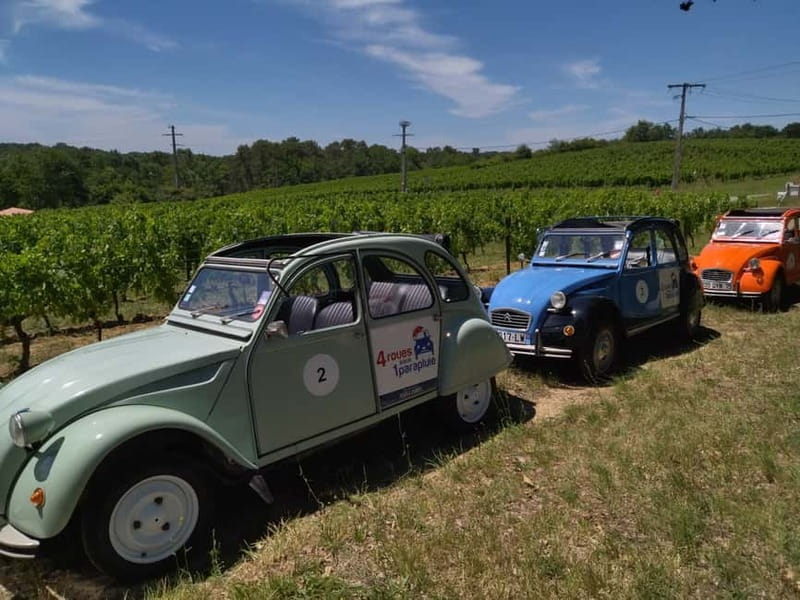 Private Half-Day Wine Tour in Citroën 2CV - Exploring Bordeaux’s Vineyards in a Vintage Citroën 2CV