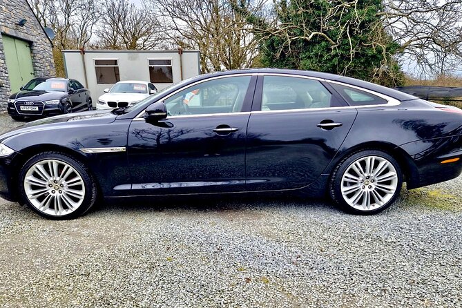 Private Half Day Winter Magic in the Antrim Glens - The Majesty of Glenariff Forest Park