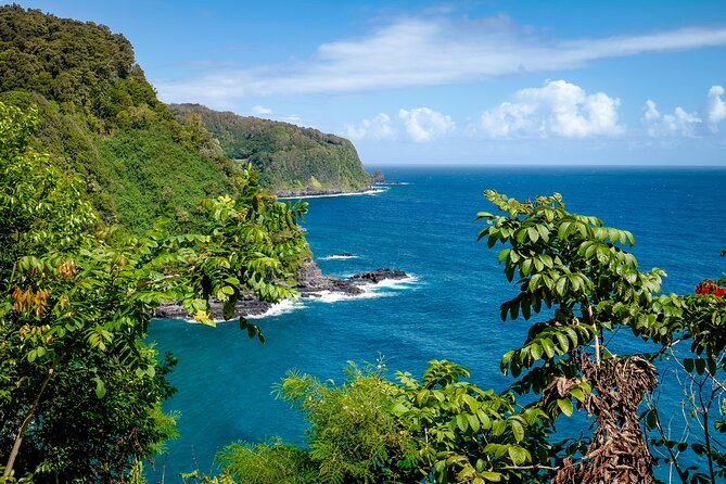 Private Half Way to Hana Tour with Local Guide - Maui’s Private Half Way to Hana Tour with Local Guide Overview
