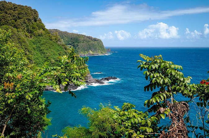 Private Half Way to Hana Tour with Local Guide - Unique Aspects That Make This Tour Stand Out