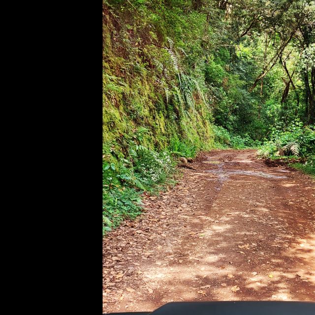 Private halfday & Eucalyptus forest Offroad - Explore Madeira’s Scenic Center on a Private Half-Day Offroad Adventure