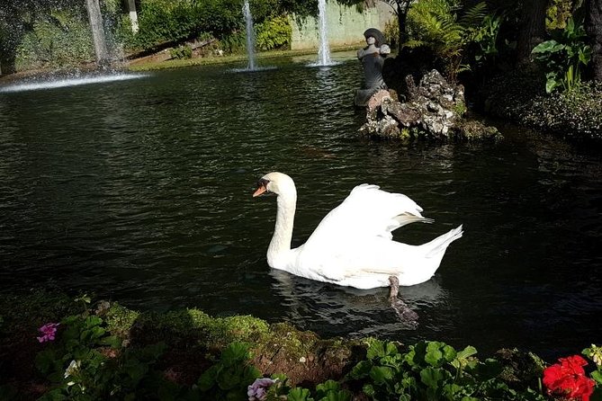 Private Halfday Madeira Garden Tour - Considerations and Tips for Your Garden Tour