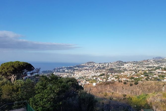 Private Halfday Madeira Garden Tour - Why Choose This Private Madeira Garden Tour?