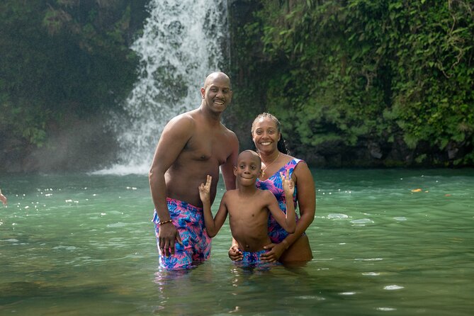 Private Hana Waterfall Jungle Hike Professional Photos Optional - Who Will Love This Tour