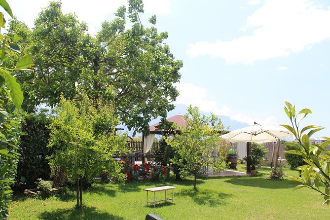 Private Hands-on Italian Cooking Class in Pompeii with Sabrina - Practical Details: Location, Accessibility, and Group Size