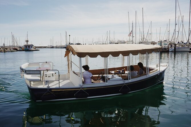 Private Harbor Cruise on Electric Boat in Santa Barbara - Key Points