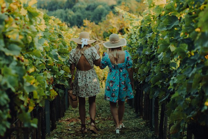 Private hedonistic food and wine experience from Zagreb - Key Points