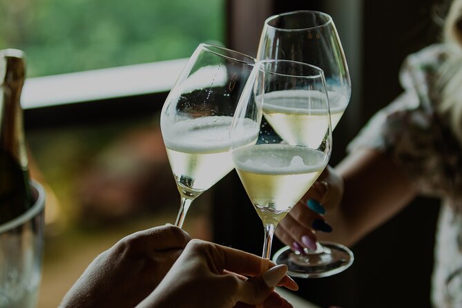 Private hedonistic food and wine experience from Zagreb - Sampling 9 Wines Paired with Homemade Charcuterie