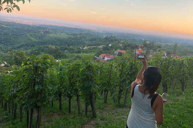 Private hedonistic food and wine experience from Zagreb - Comfort and Convenience: Transport and Amenities